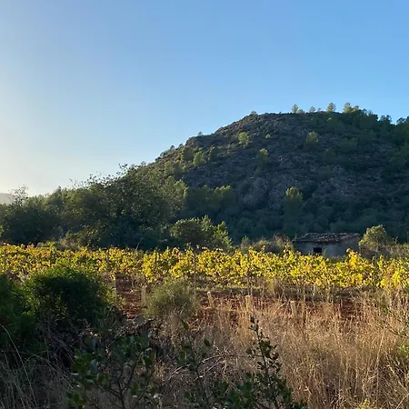 Joyjoyjoy Casa Joy A Design-Ecolicious Boutique Beach House Денія