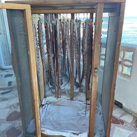 Вілла Joyjoyjoy Casa Joy A Design-Ecolicious Boutique Beach House Денія