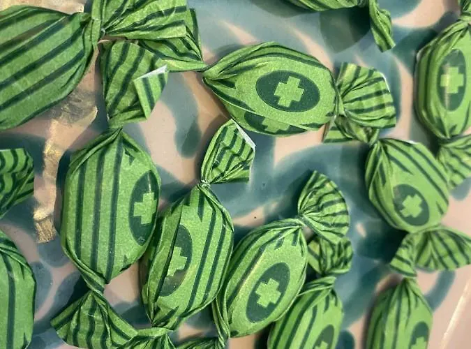 Joyjoyjoy Casa Joy A Design-ecolicious Boutique House *